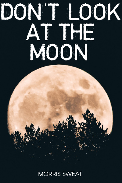 Don&#x27;t Look at the Moon