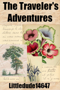 The Traveler&#x27;s Adventures