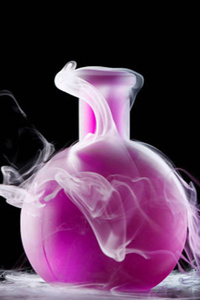 The Potion Master&#x27;s Journal