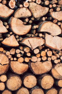 Log