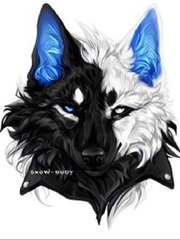 Wolf of The Night