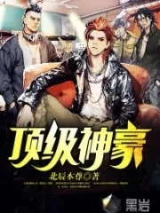 Top Shenhao